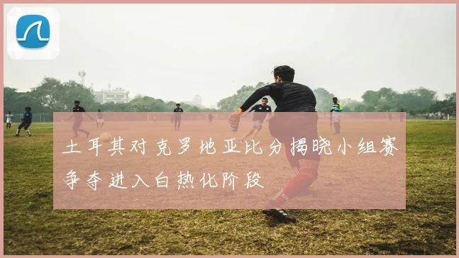 土耳其对克罗地亚比分揭晓小组赛争夺进入白热化阶段