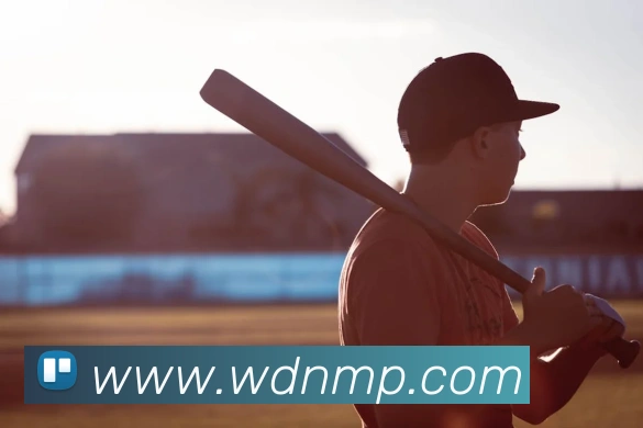 压球首页平台生态图